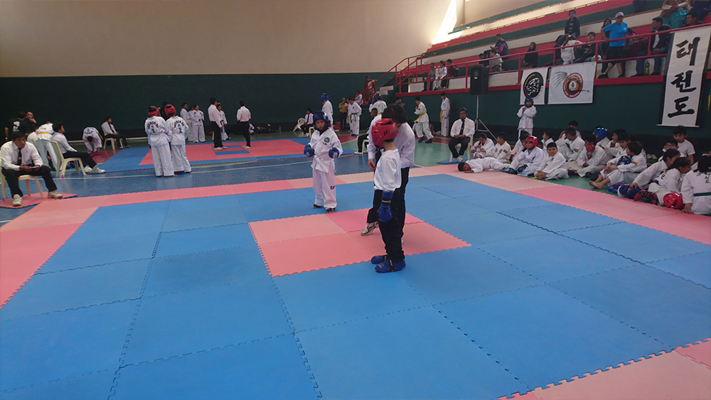 ../assets/images/maferfitgym/Taekwondo ITF/3.jpg